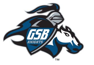 Turn2Sports Consulting